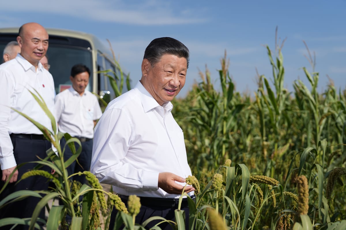 China's Food Security Bet